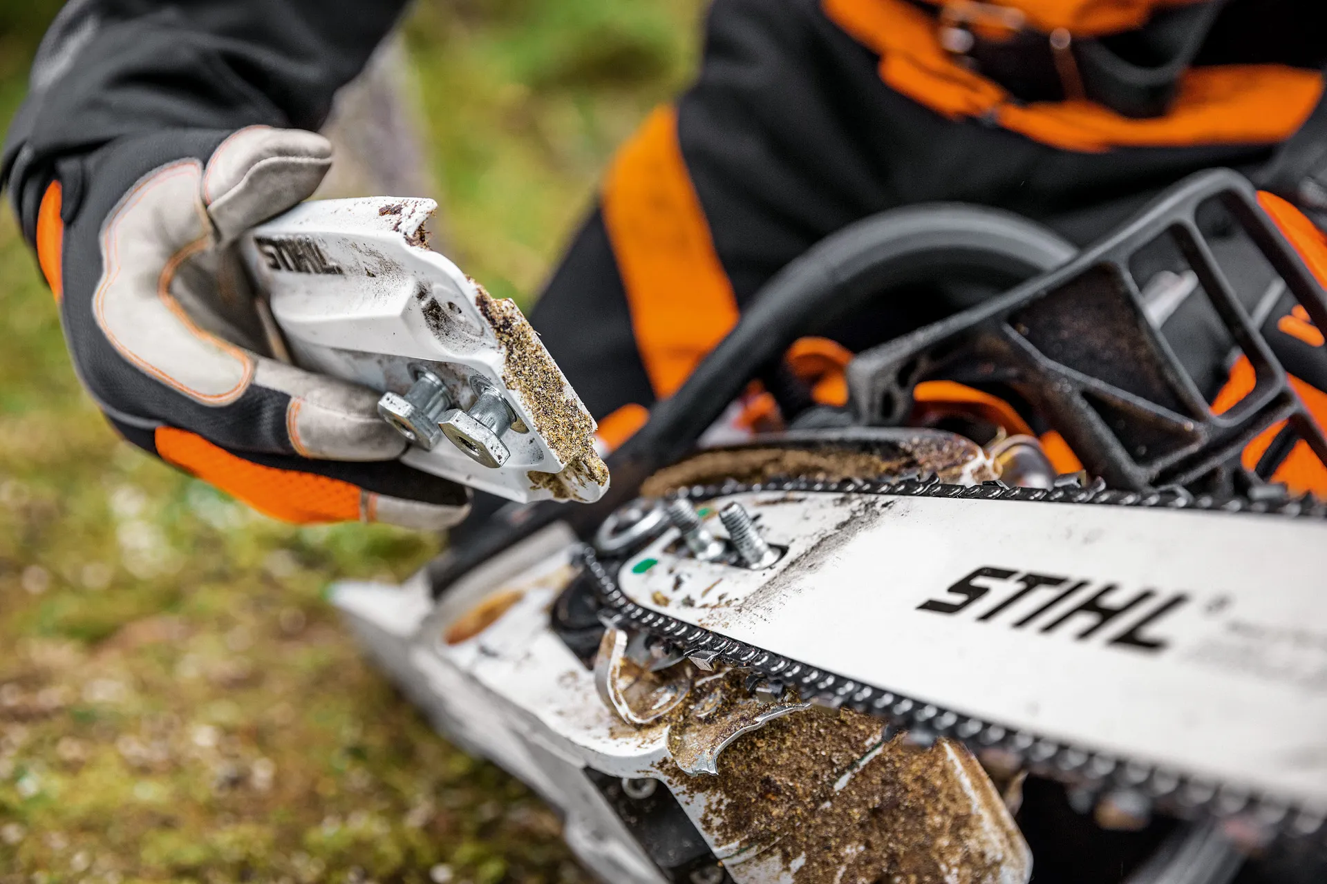 Showcasing STIHL chainsaw