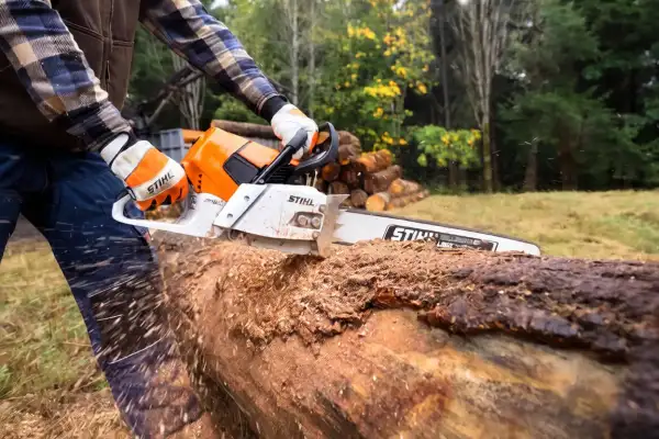 STIHL MS 661 C-M chainsaw resting on a large pine log in a Bay of Plenty forest